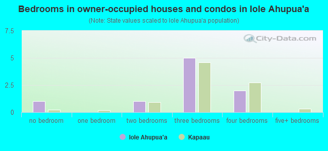 Bedrooms in owner-occupied houses and condos in Iole Ahupua`a