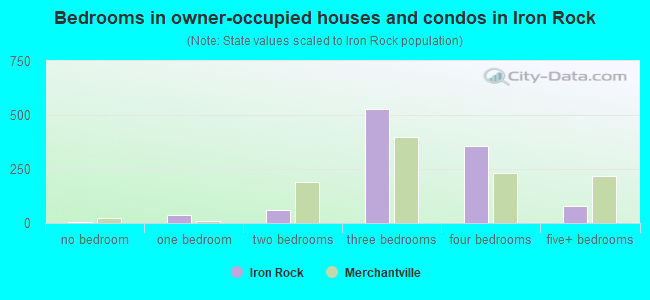 Bedrooms in owner-occupied houses and condos in Iron Rock