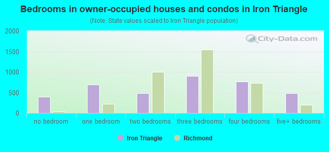 Bedrooms in owner-occupied houses and condos in Iron Triangle