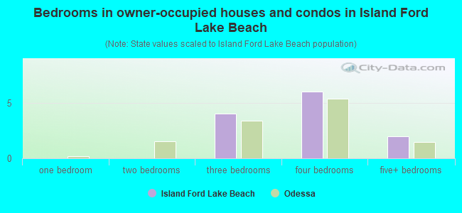 Bedrooms in owner-occupied houses and condos in Island Ford Lake Beach