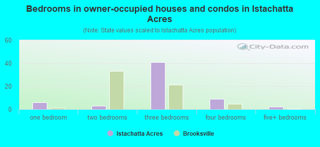Bedrooms in owner-occupied houses and condos in Istachatta Acres