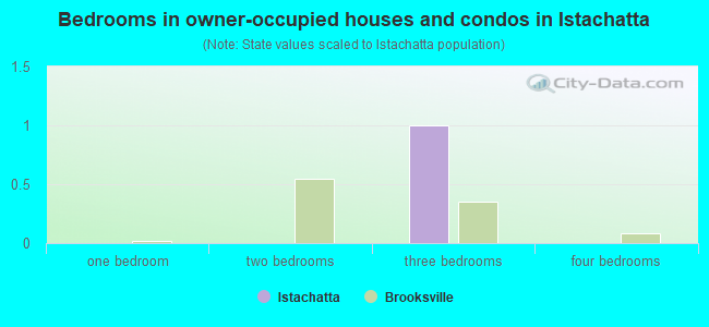 Bedrooms in owner-occupied houses and condos in Istachatta
