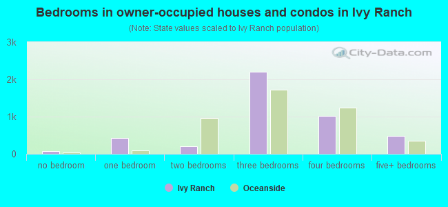Bedrooms in owner-occupied houses and condos in Ivy Ranch