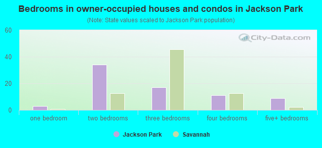 Bedrooms in owner-occupied houses and condos in Jackson Park