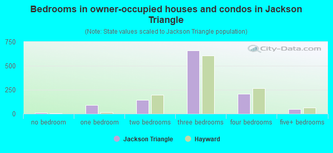Bedrooms in owner-occupied houses and condos in Jackson Triangle