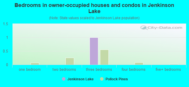Bedrooms in owner-occupied houses and condos in Jenkinson Lake