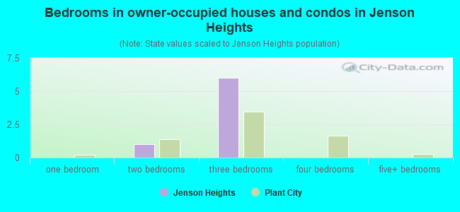 Bedrooms in owner-occupied houses and condos in Jenson Heights