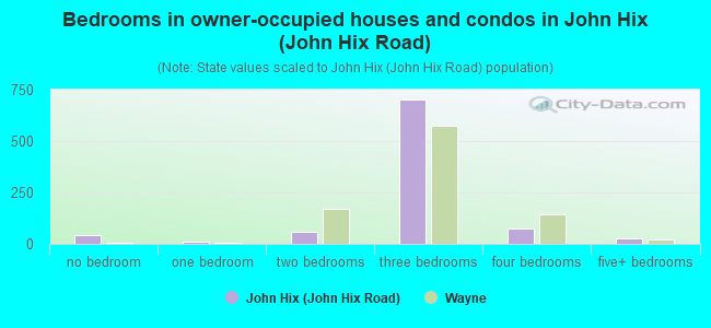 Bedrooms in owner-occupied houses and condos in John Hix (John Hix Road)