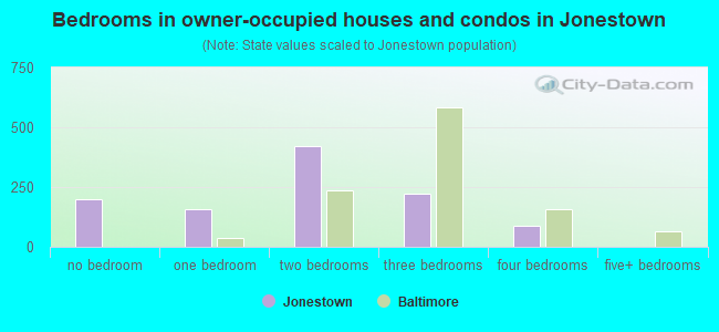 Bedrooms in owner-occupied houses and condos in Jonestown