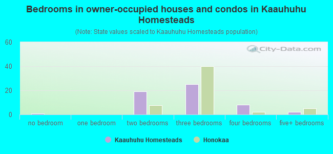 Bedrooms in owner-occupied houses and condos in Kaauhuhu Homesteads