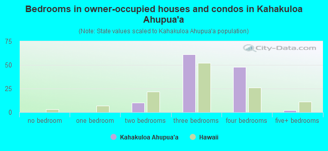 Bedrooms in owner-occupied houses and condos in Kahakuloa Ahupua`a