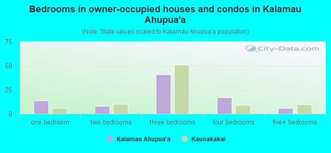 Bedrooms in owner-occupied houses and condos in Kalamau Ahupua`a