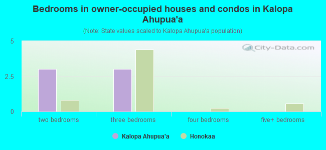 Bedrooms in owner-occupied houses and condos in Kalopa Ahupua`a