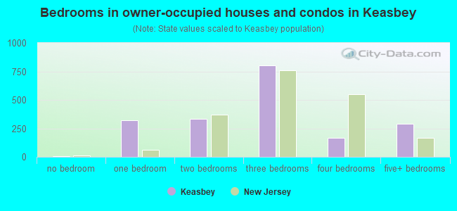Bedrooms in owner-occupied houses and condos in Keasbey