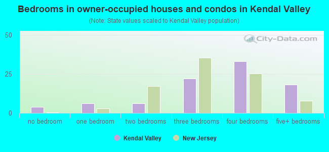 Bedrooms in owner-occupied houses and condos in Kendal Valley