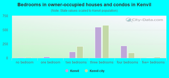 Bedrooms in owner-occupied houses and condos in Kenvil