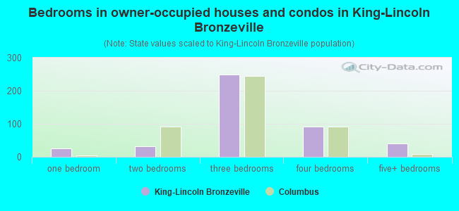 Bedrooms in owner-occupied houses and condos in King-Lincoln Bronzeville