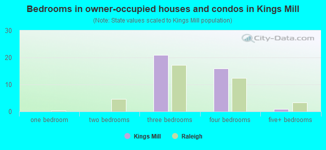 Bedrooms in owner-occupied houses and condos in Kings Mill