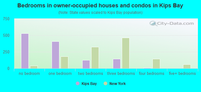 Bedrooms in owner-occupied houses and condos in Kips Bay
