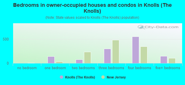 Bedrooms in owner-occupied houses and condos in Knolls (The Knolls)