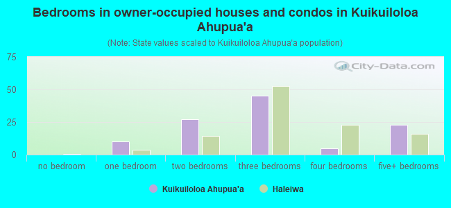 Bedrooms in owner-occupied houses and condos in Kuikuiloloa Ahupua`a