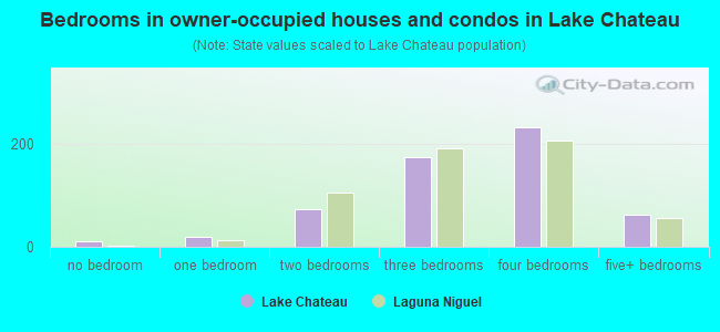 Bedrooms in owner-occupied houses and condos in Lake Chateau