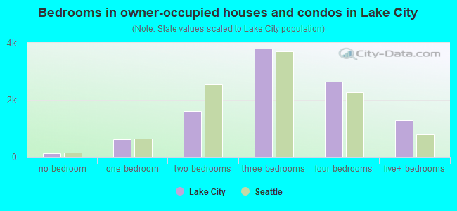 Bedrooms in owner-occupied houses and condos in Lake City
