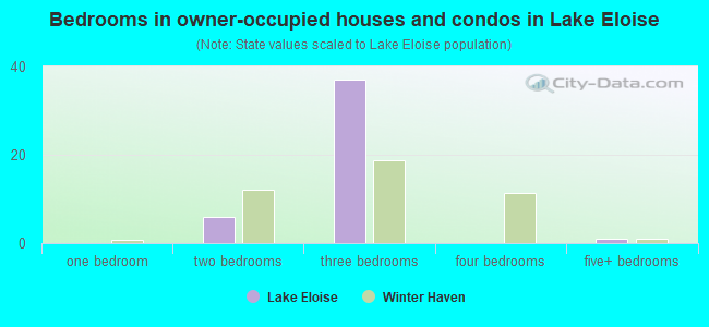 Bedrooms in owner-occupied houses and condos in Lake Eloise