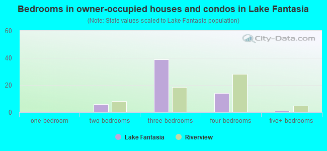 Bedrooms in owner-occupied houses and condos in Lake Fantasia