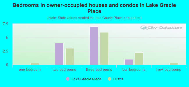 Bedrooms in owner-occupied houses and condos in Lake Gracie Place