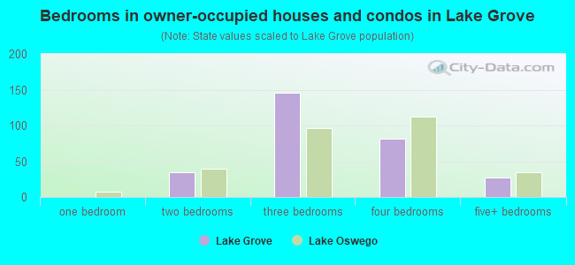 Bedrooms in owner-occupied houses and condos in Lake Grove