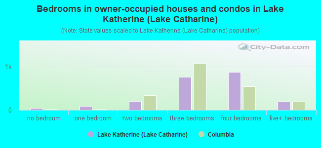 Bedrooms in owner-occupied houses and condos in Lake Katherine (Lake Catharine)