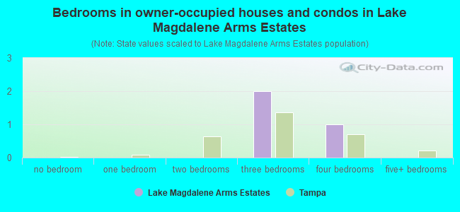 Bedrooms in owner-occupied houses and condos in Lake Magdalene Arms Estates