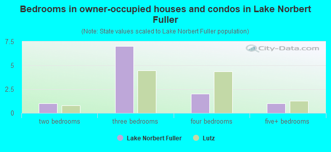 Bedrooms in owner-occupied houses and condos in Lake Norbert Fuller