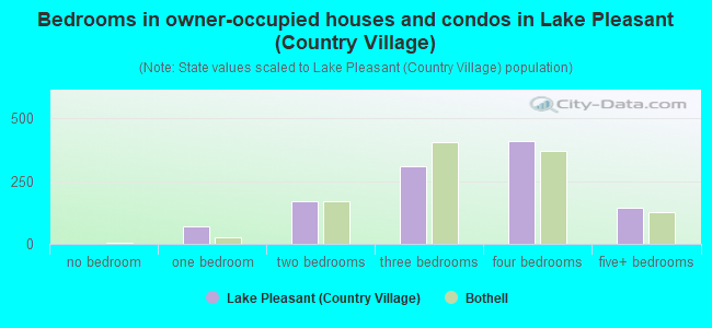 Bedrooms in owner-occupied houses and condos in Lake Pleasant (Country Village)