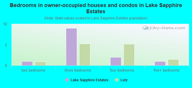 Bedrooms in owner-occupied houses and condos in Lake Sapphire Estates