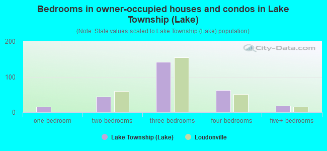Bedrooms in owner-occupied houses and condos in Lake Township (Lake)