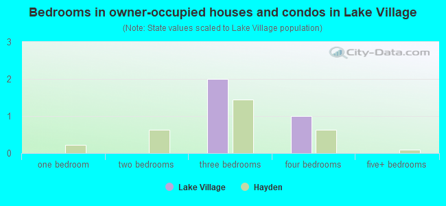 Bedrooms in owner-occupied houses and condos in Lake Village