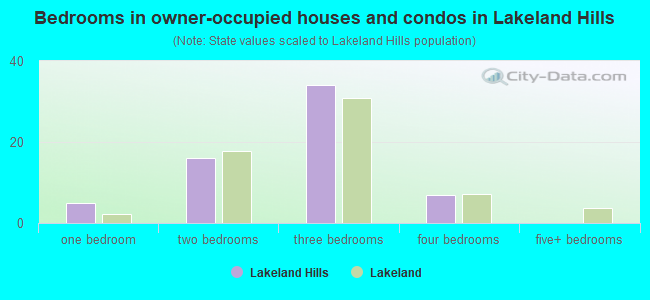 Bedrooms in owner-occupied houses and condos in Lakeland Hills