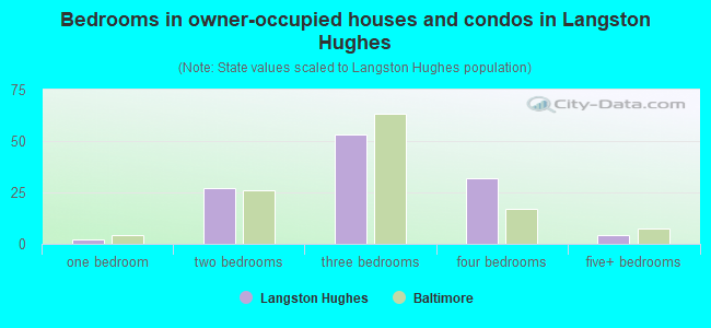 Bedrooms in owner-occupied houses and condos in Langston Hughes