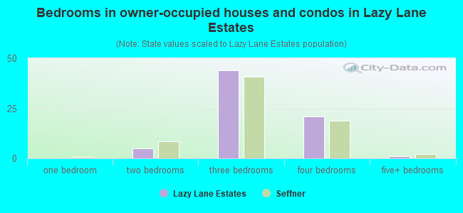 Bedrooms in owner-occupied houses and condos in Lazy Lane Estates