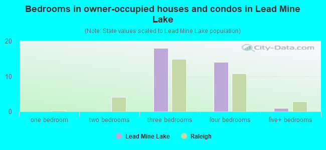 Bedrooms in owner-occupied houses and condos in Lead Mine Lake