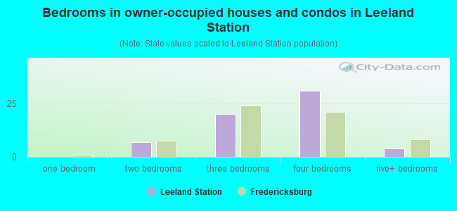 Bedrooms in owner-occupied houses and condos in Leeland Station