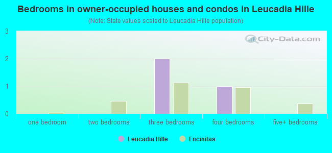 Bedrooms in owner-occupied houses and condos in Leucadia Hille