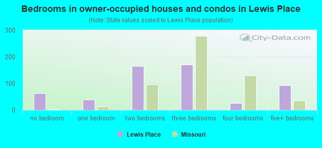 Bedrooms in owner-occupied houses and condos in Lewis Place
