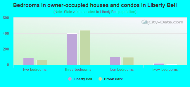 Bedrooms in owner-occupied houses and condos in Liberty Bell