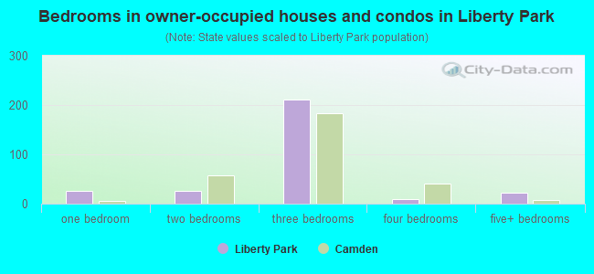 Bedrooms in owner-occupied houses and condos in Liberty Park
