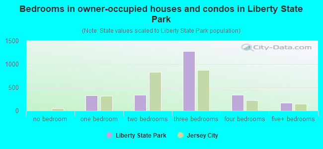 Bedrooms in owner-occupied houses and condos in Liberty State Park