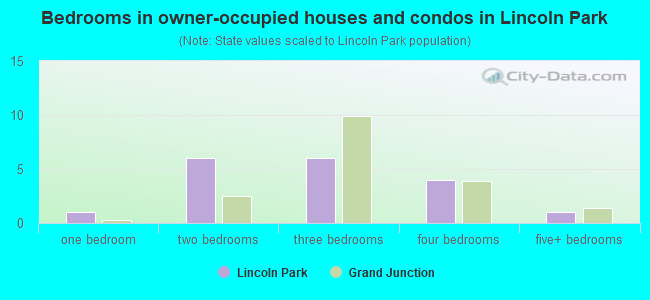 Bedrooms in owner-occupied houses and condos in Lincoln Park