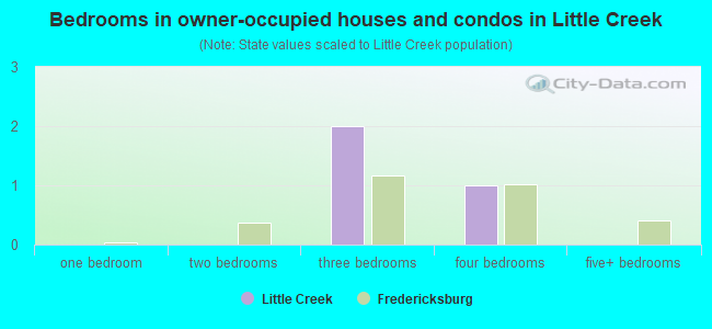Bedrooms in owner-occupied houses and condos in Little Creek